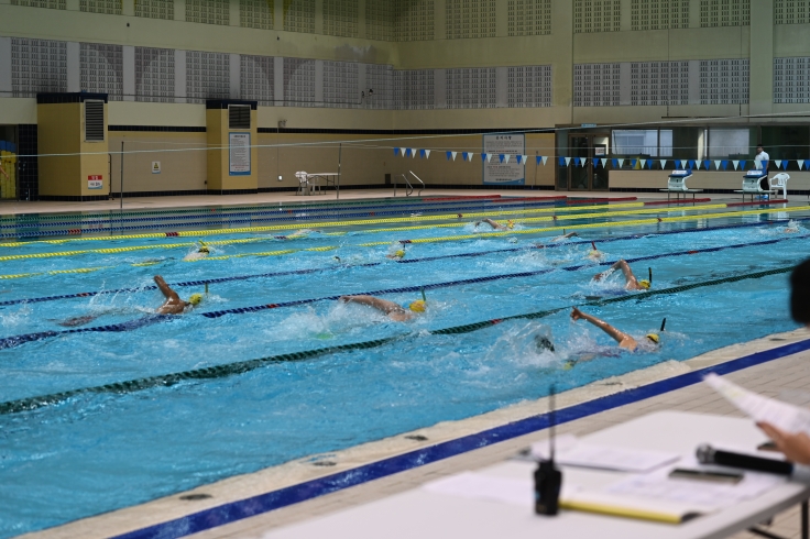 제14회 대한체육회장배 장거리핀수영대회(실내)