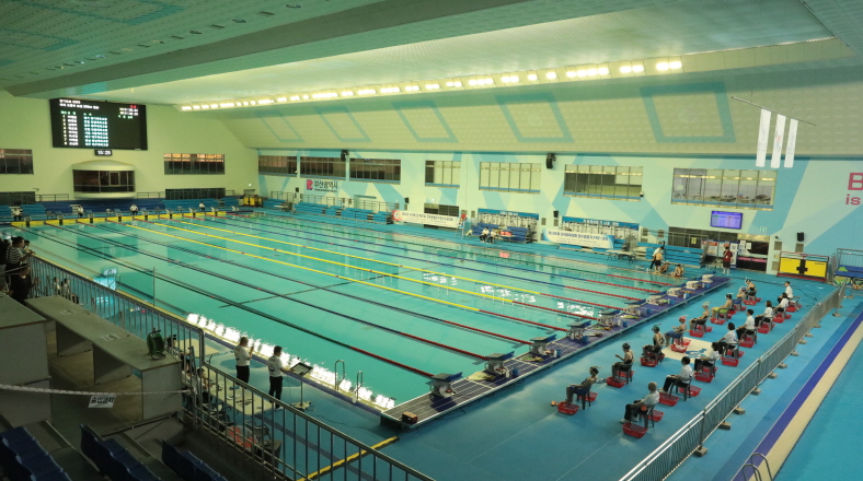 2025 인석배 겸 제37회 전국종별핀수영선수권대회