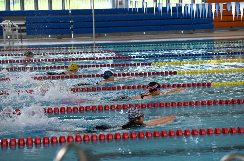 2025년 제3회 회장배 코리아유소년(AGE)전국핀수영대회